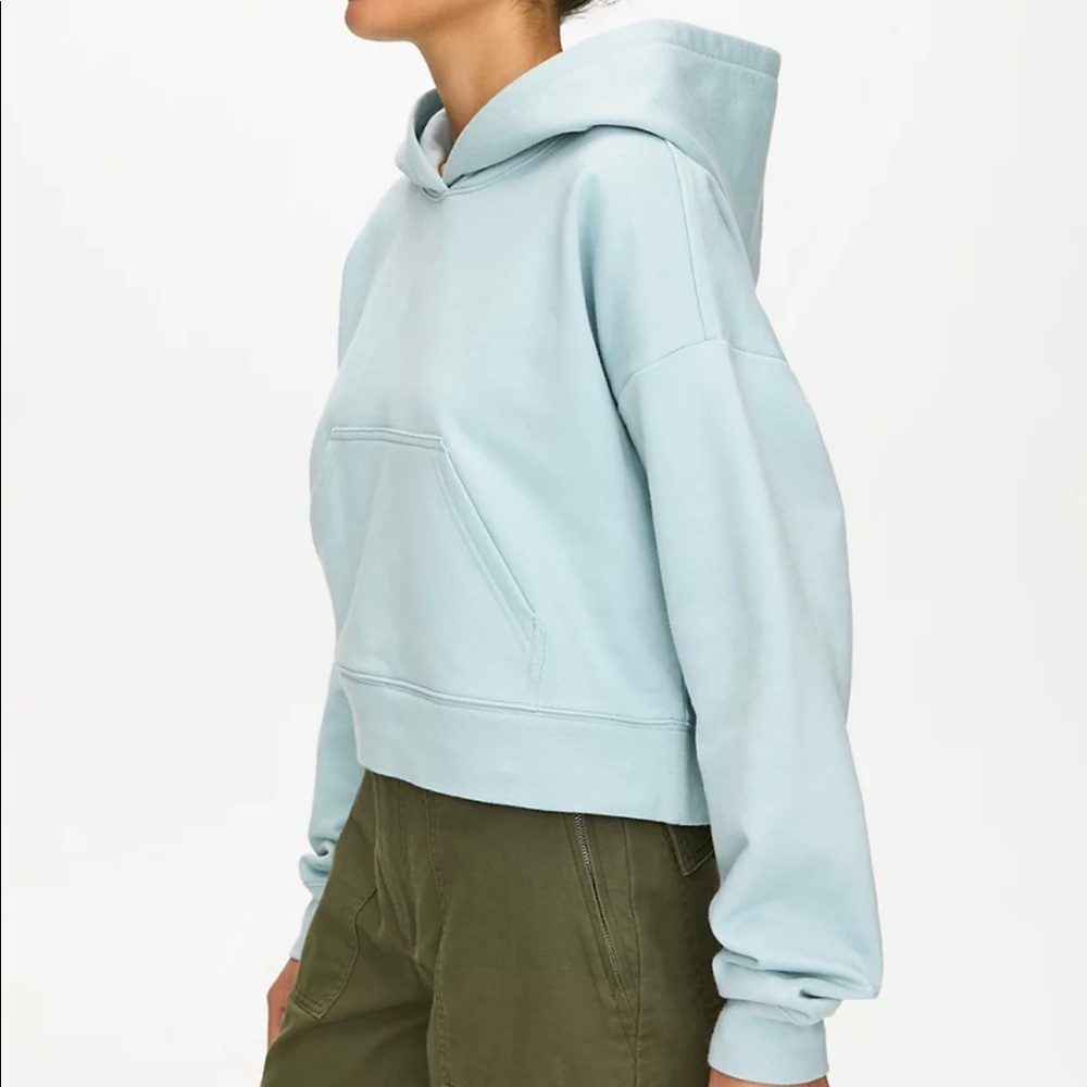 Aritzia TNA Cropped Hoodie in Mint/Blue